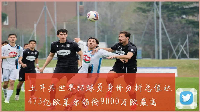 土耳其世界杯球员身价分析总值达473亿欧莱尔领衔9000万欧最高